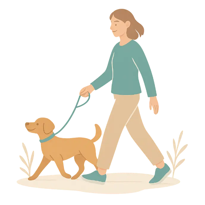 Promenade chien
